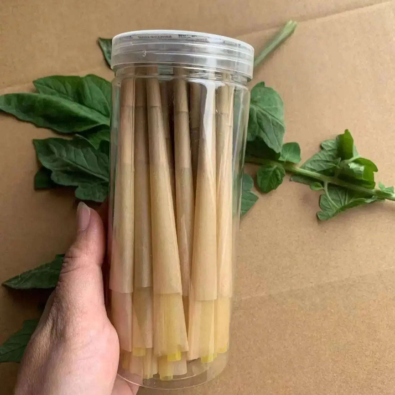 Pre-rolled Paper Cones (Natural Color)  -100% Natural Pulp Pre-rolls